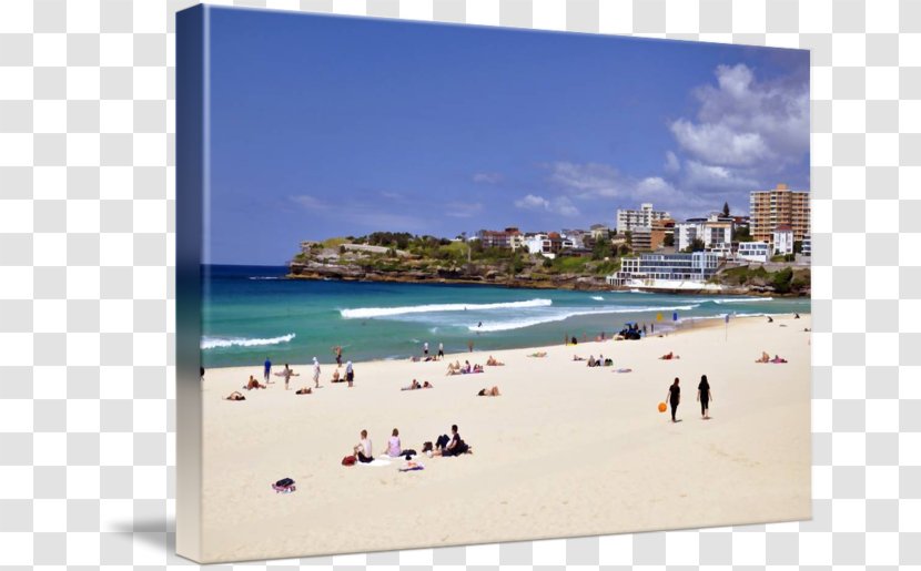 Beach Shore Coast Vacation Tourism - Coastal And Oceanic Landforms - Bondi Transparent PNG