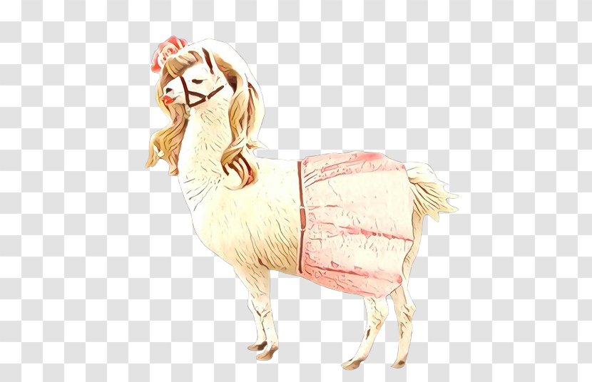 Llama Illustration Goat Cartoon Carnivores - Yonni Meyer - Pet Transparent PNG