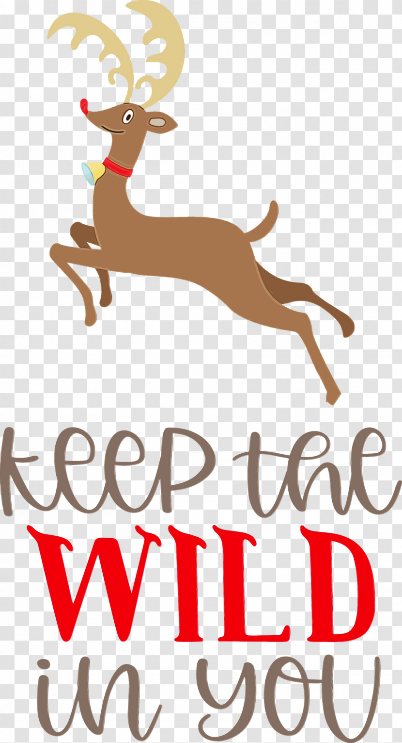 Reindeer Transparent PNG