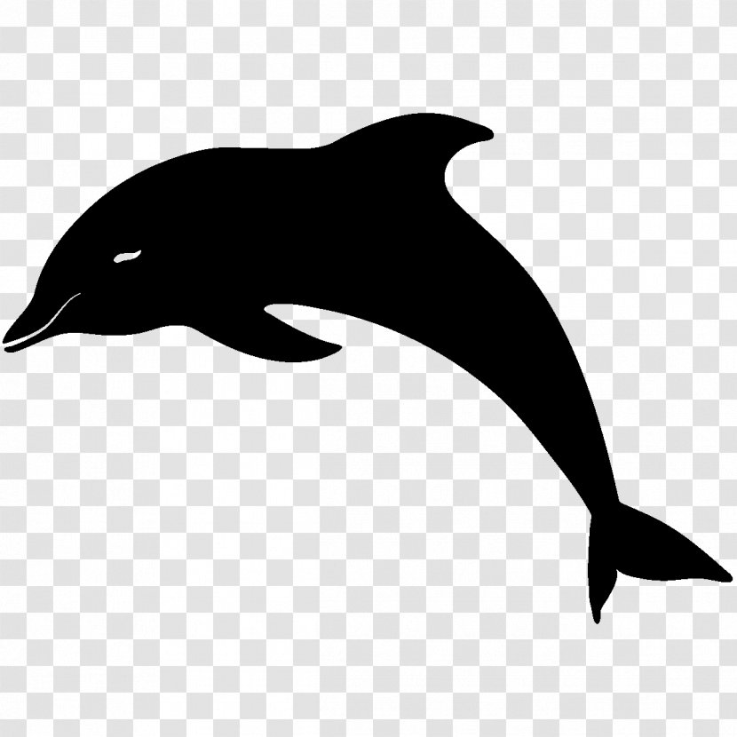Bottlenose Dolphin Drawing Clip Art - Seals Transparent PNG