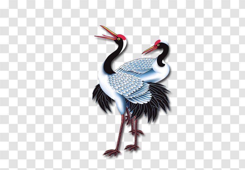 Red-crowned Crane Template Download - Beak Transparent PNG