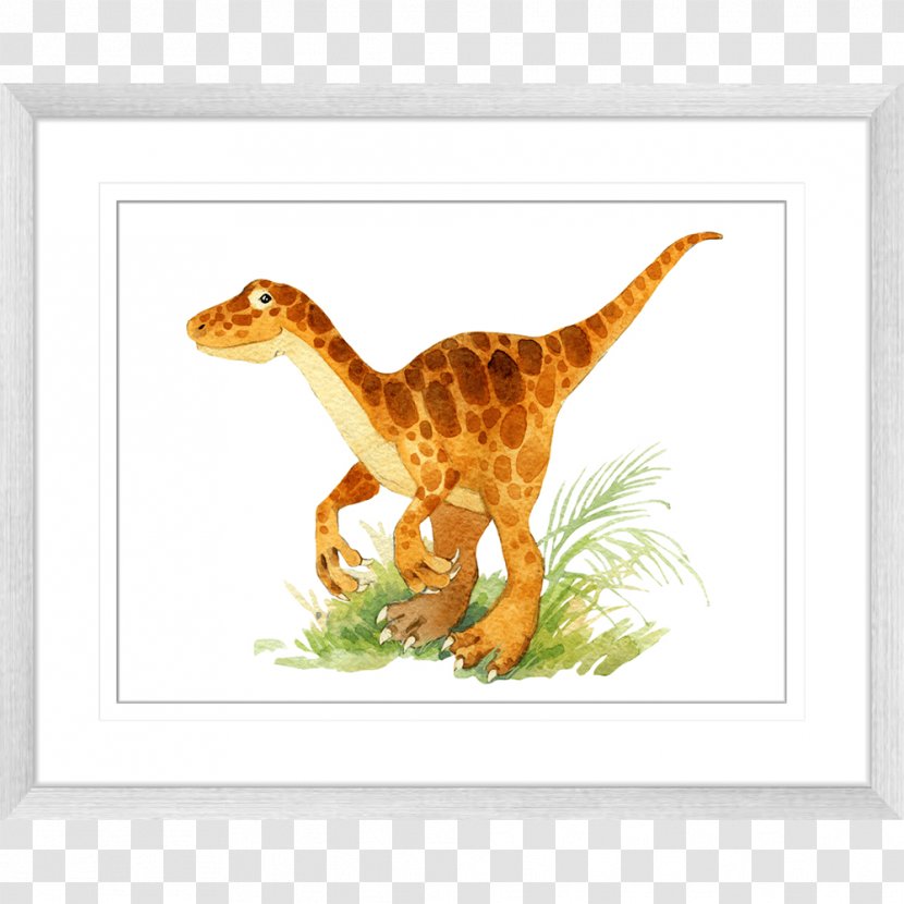 Velociraptor Diplodocus Tyrannosaurus Argentinosaurus Dinosaur - Photography Transparent PNG