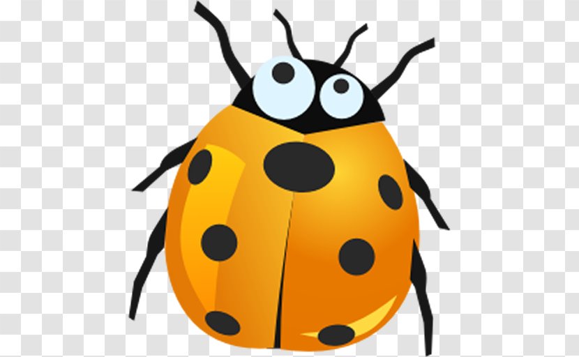 Ladybird Beetle - True Bugs Transparent PNG