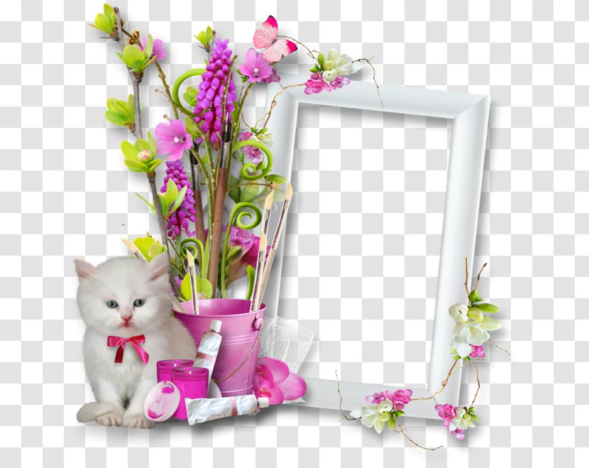 Friday Wish YouTube Blessing - Picture Frame - Youtube Transparent PNG