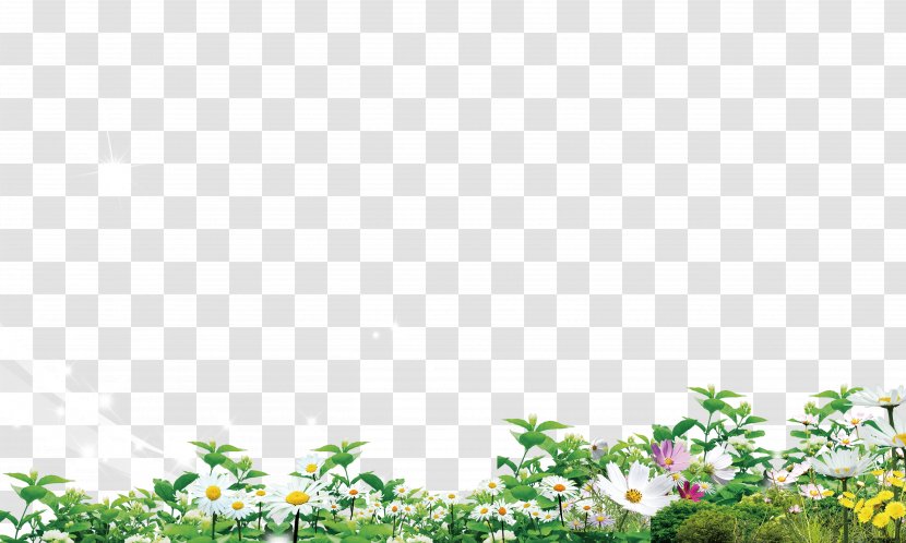 Download Poster - Flower - Grass,Flowers Transparent PNG