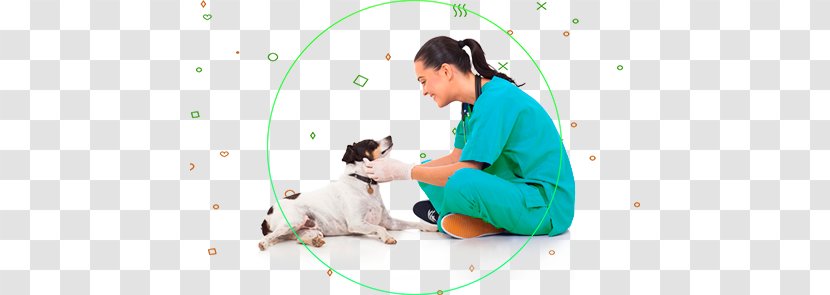 Dog Veterinarian Veterinary Medicine Pet Surgery - Puppy Transparent PNG