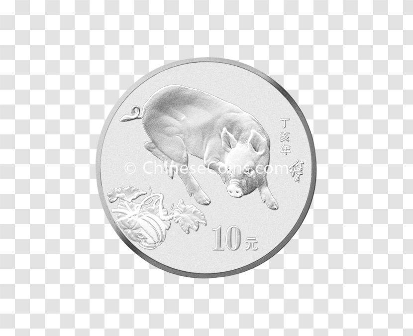 Coin Silver Circle Animal Transparent PNG