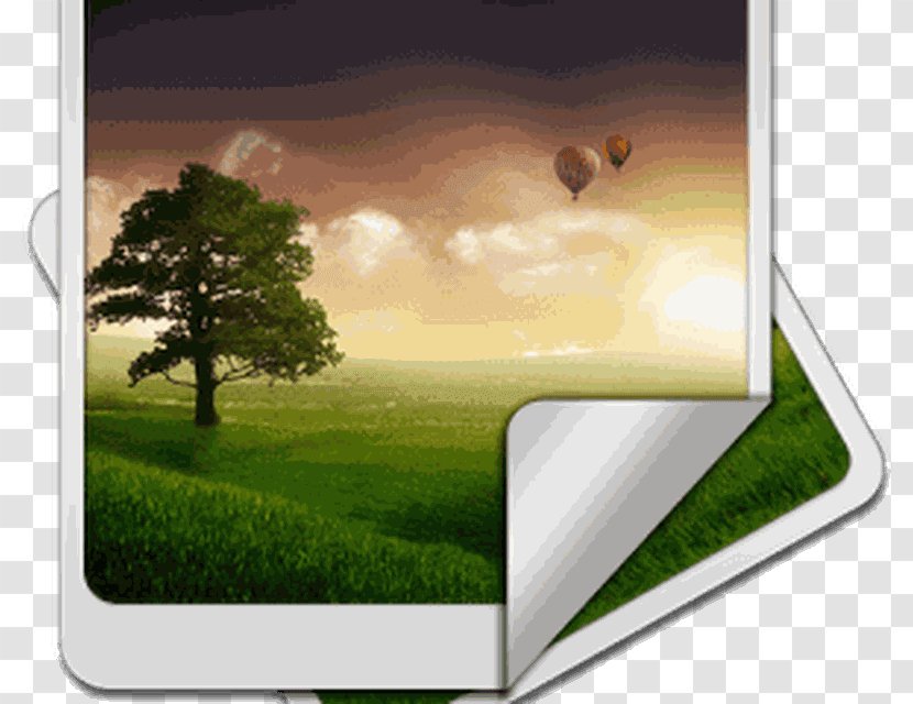 Desktop Wallpaper Computers Windows 7 High-definition Television Display Resolution - Nature - Tree Transparent PNG