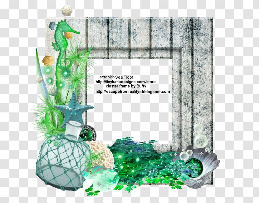 4 July Holiday Independence Day Autumn 0 - Green - Sea Floor Transparent PNG
