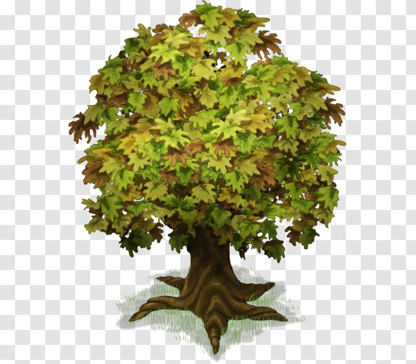 Tree Plant Trunk - Information Transparent PNG