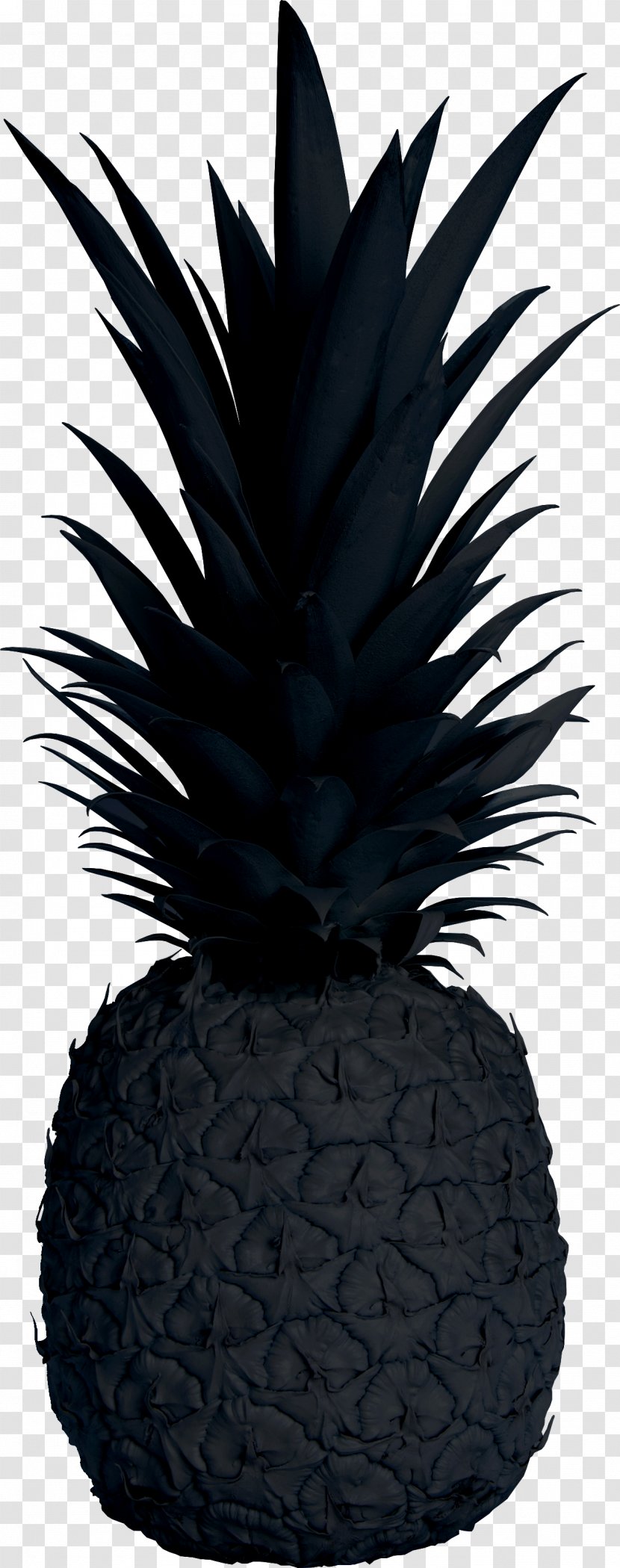 Pineapple Public Relations Black Co Grey - Plant Transparent PNG