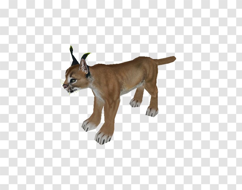 Cougar Zoo Tycoon 2 Video Game Caracal - Terrestrial Animal Transparent PNG