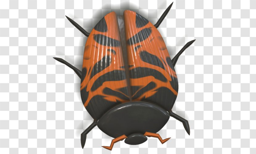 Ladybird Beetle Seven-spot - Pest Transparent PNG