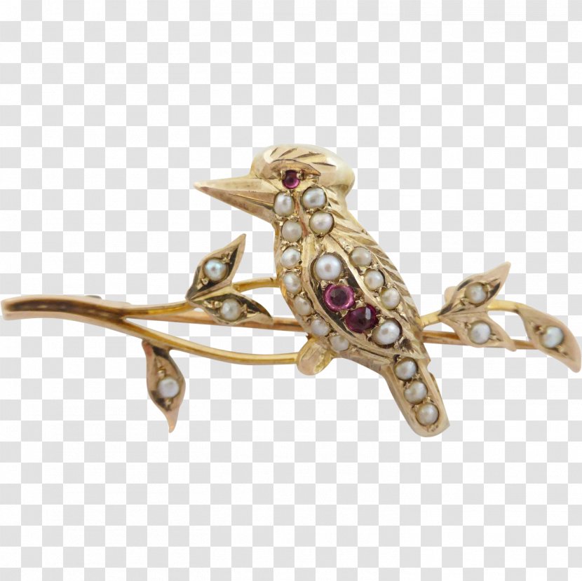 Australia Brooch Kookaburra Jewellery Gold - Silver Transparent PNG