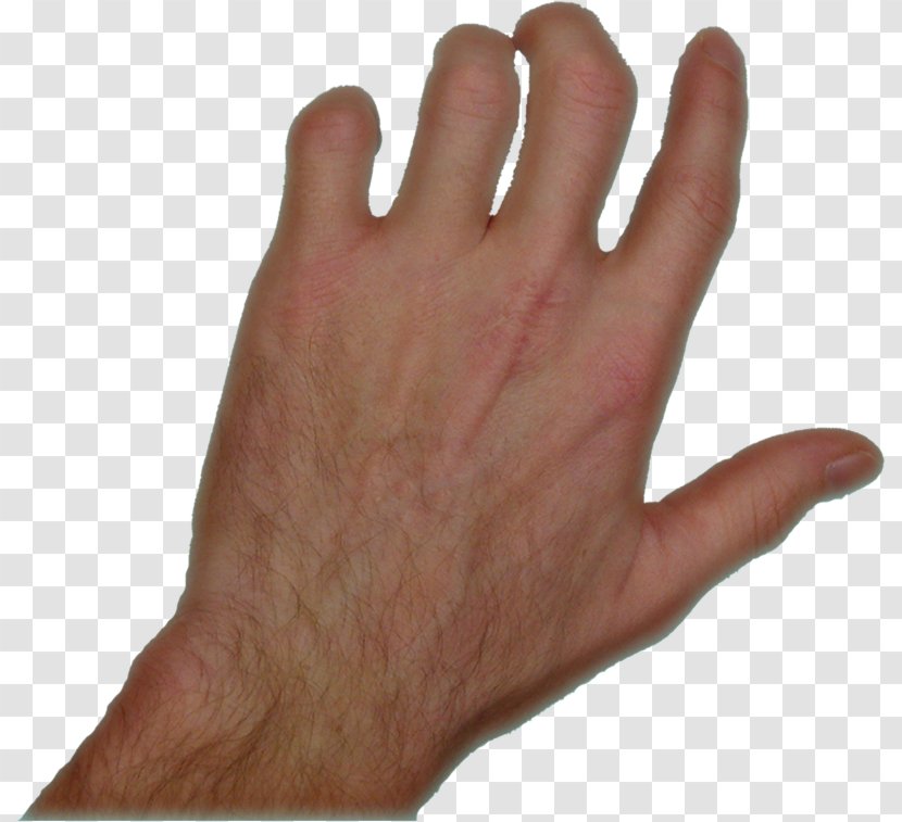 Hand Model Glove Finger - Left Transparent PNG