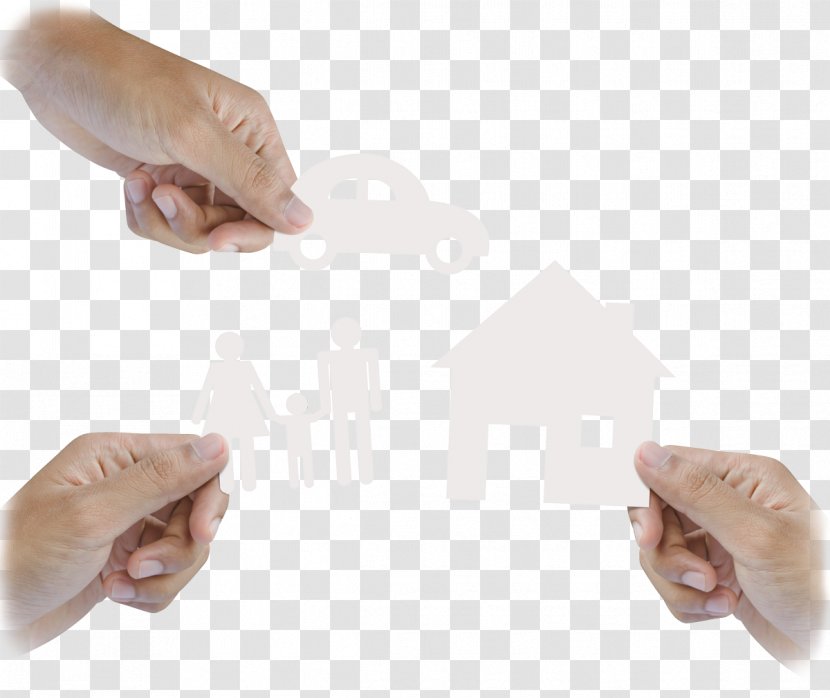 Thumb Animal - Hand - Design Transparent PNG