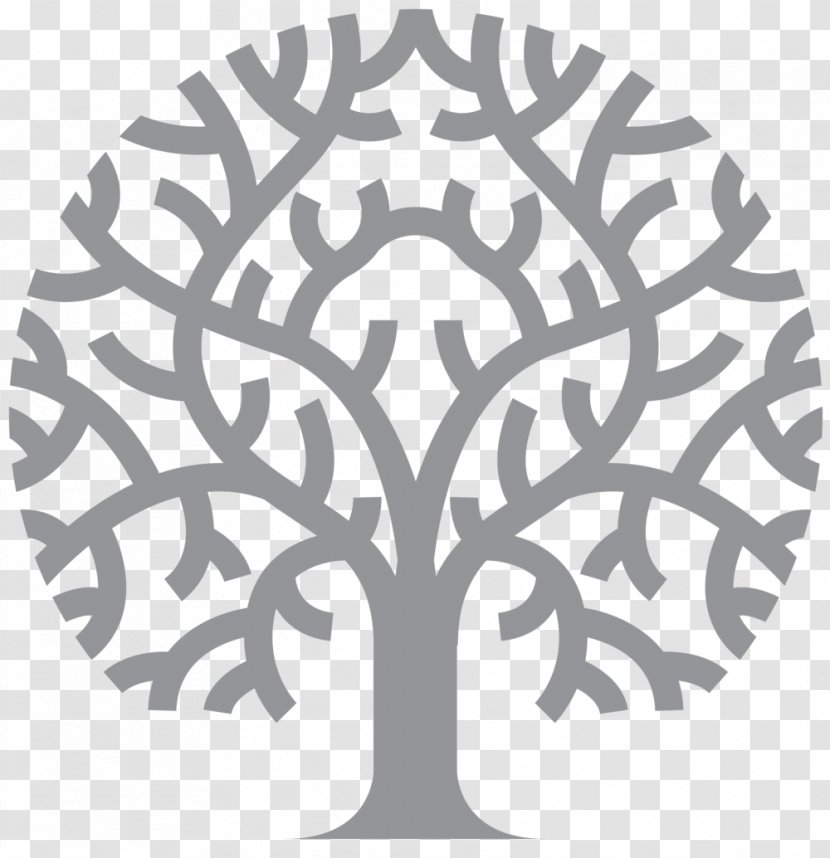 Fallen Fruits Ltd Logo Garden - Fruit - Family Tree Transparent PNG