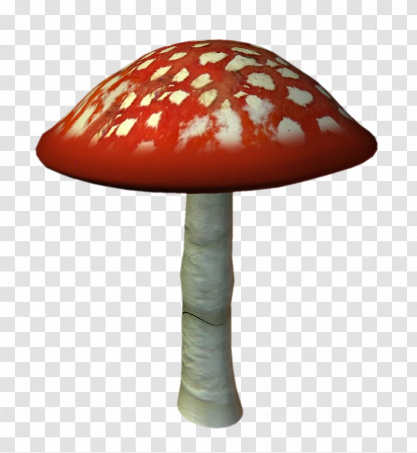 Amanita Muscaria Mushroom Fungus Clip Art Transparent PNG