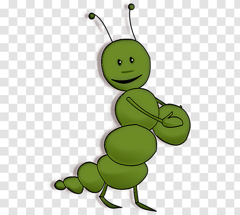 Green Insect Cartoon Grasshopper Plant Transparent PNG