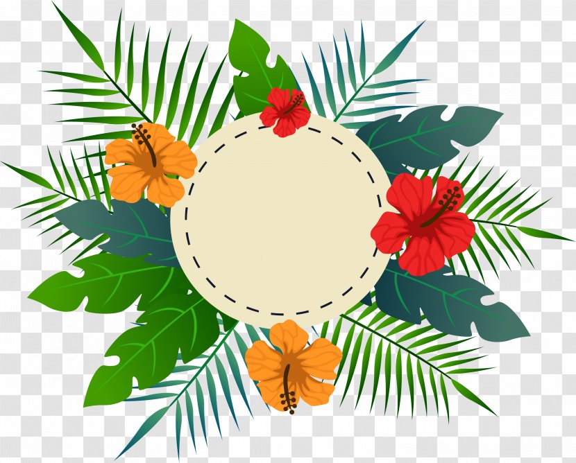 Tropical Flower Leaves The Title Box - Video - Illustration Transparent PNG