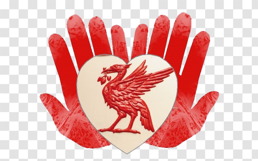 Liverpool F.C. Premier League Football Clip Art - Hand Transparent PNG
