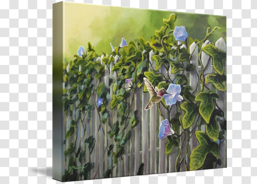 Floral Design Flowering Plant - Flora - Morning Glory Transparent PNG