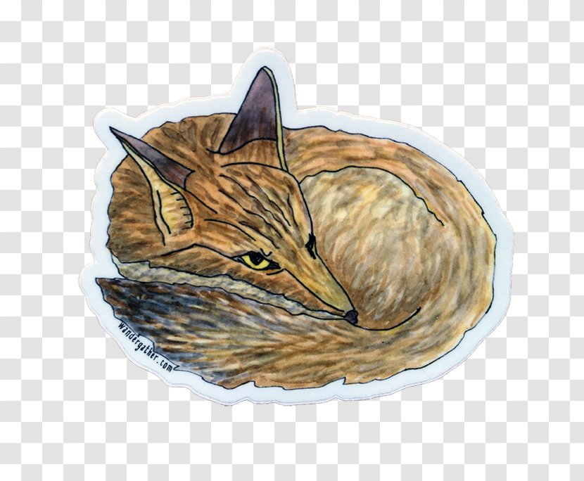 Illustration Whiskers Paper Cat Dog - Fauna - Sticker Instagram Transparent PNG