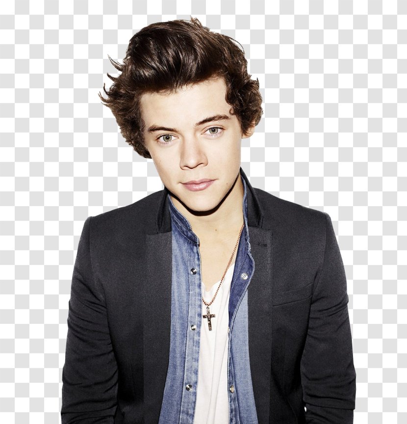 Harry Styles: Live On Tour The X Factor One Direction Photo Shoot - Flower Transparent PNG