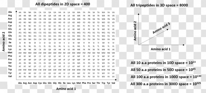 Protein Sequencing Primary Structure Sequence Space Biosynthesis - Brand - Of Numbers Transparent PNG