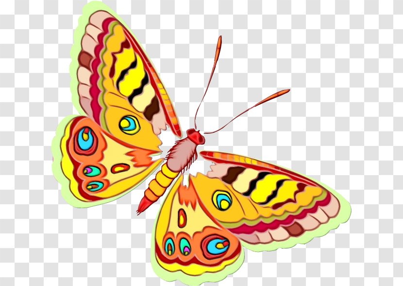 Watercolor Butterfly Background - Pollinator - Animal Figure Emperor Moths Transparent PNG