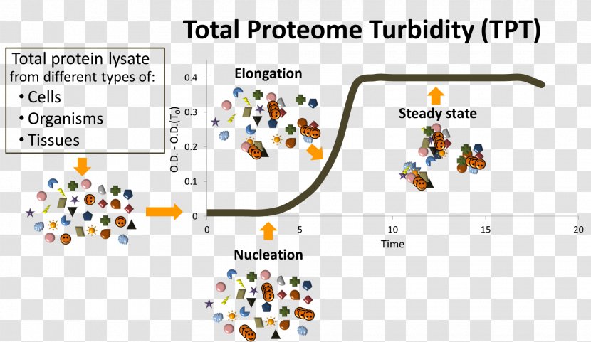 Technology Brand Line Font - Cancer Cell Expression Map Transparent PNG