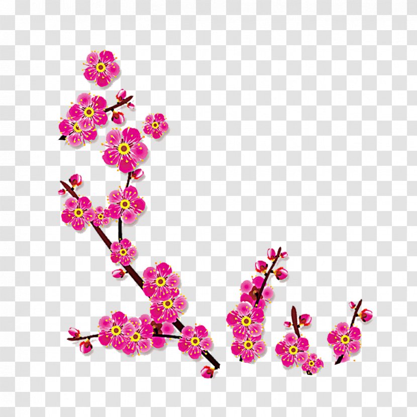 Download - Plant - Plum Flower Transparent PNG