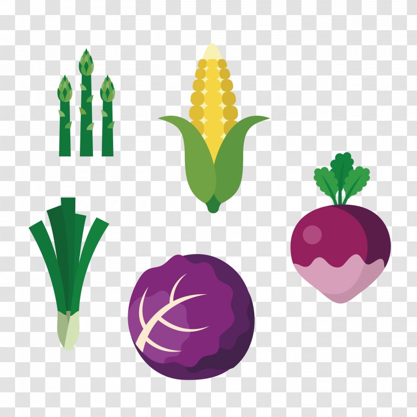 Chili Con Carne Onion Fruit Vegetable Garlic - Cabbage - Cartoon Vegetables Transparent PNG