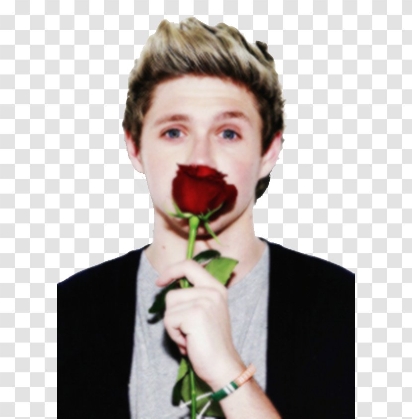 Niall Horan One Direction Over Again - Cartoon Transparent PNG