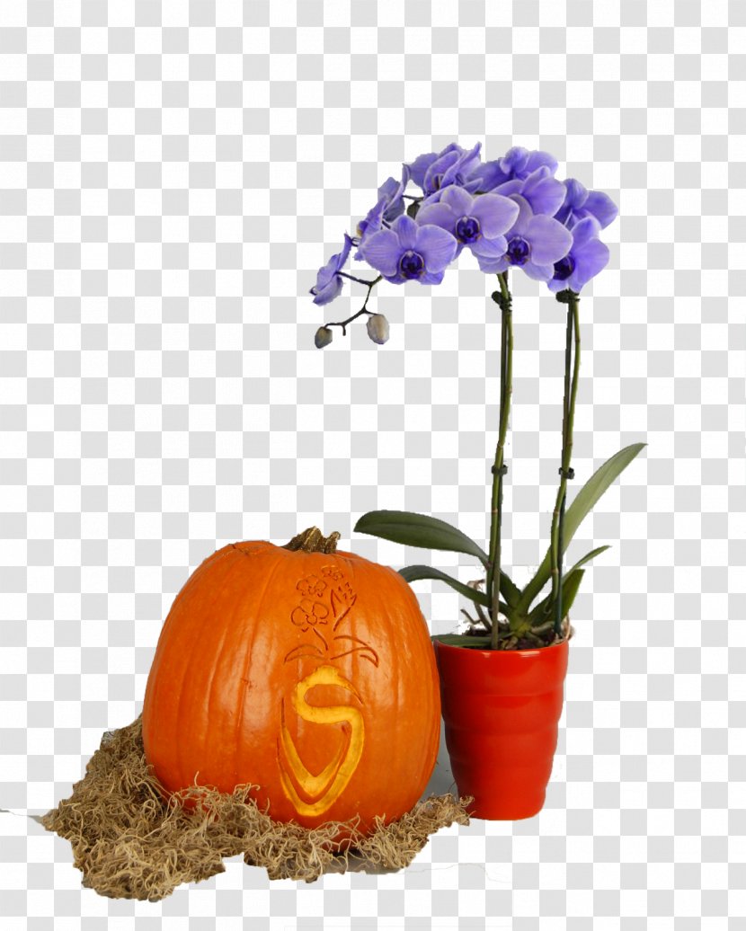 Pumpkin Floristry Cut Flowers Flowerpot Transparent PNG