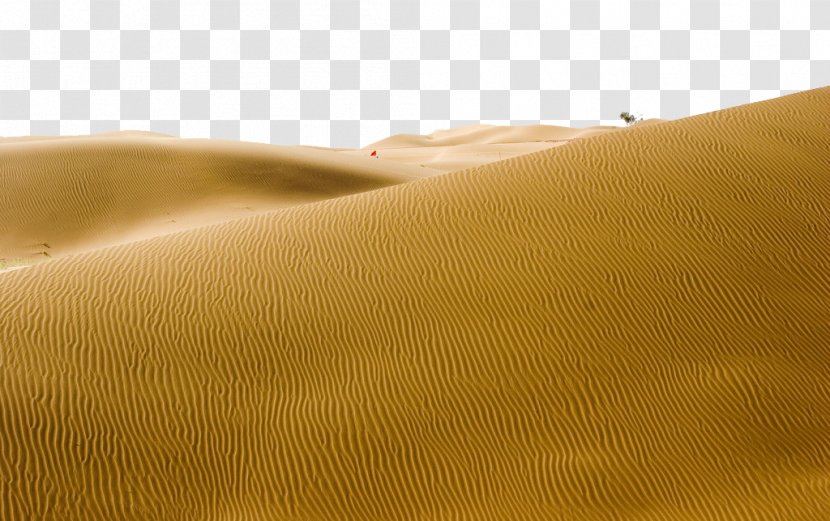 Landscape Yellow Material Close-up - Desert Transparent PNG
