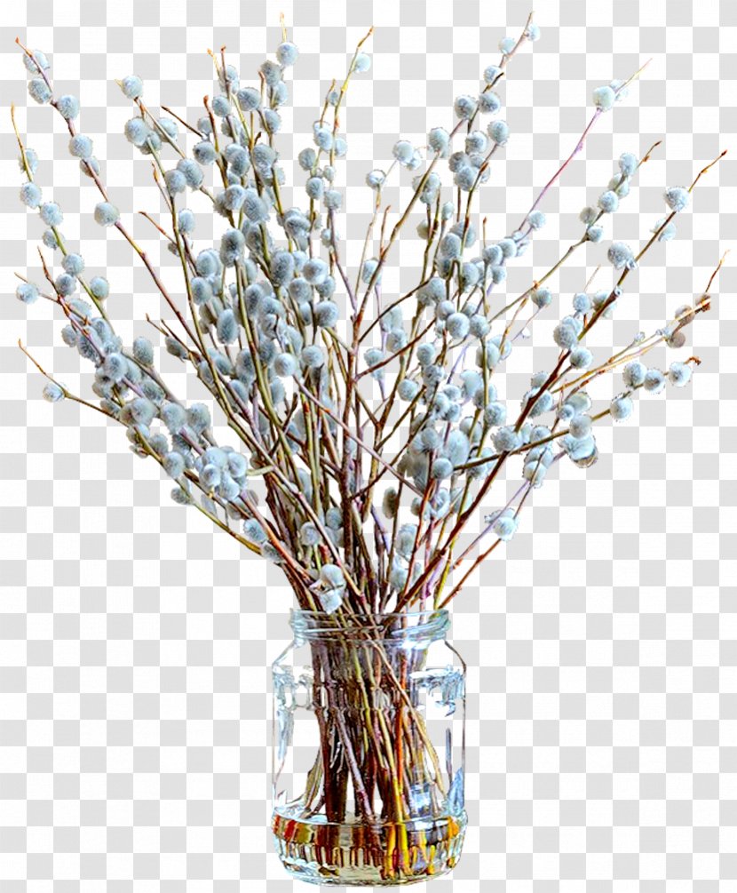 Salix Alba Palm Sunday Tulip Daphne Willow Clip Art - Twig - Spring Beautiful Vase Free Download Transparent PNG