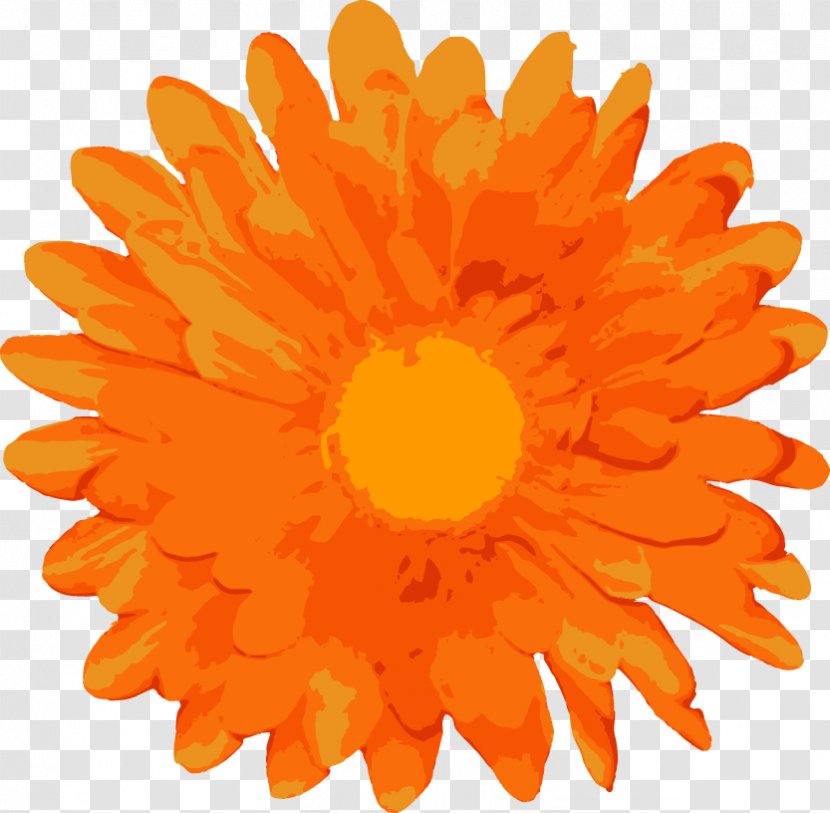 Flower Euclidean Vector Clip Art - Daisy Family - Free Flowers Transparent PNG