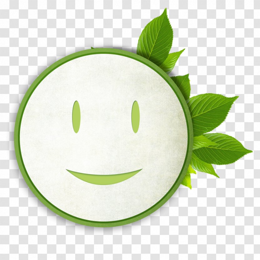 Health Care Disease Family Insurance - Plant - Free Green Smiley Pull Material Transparent PNG