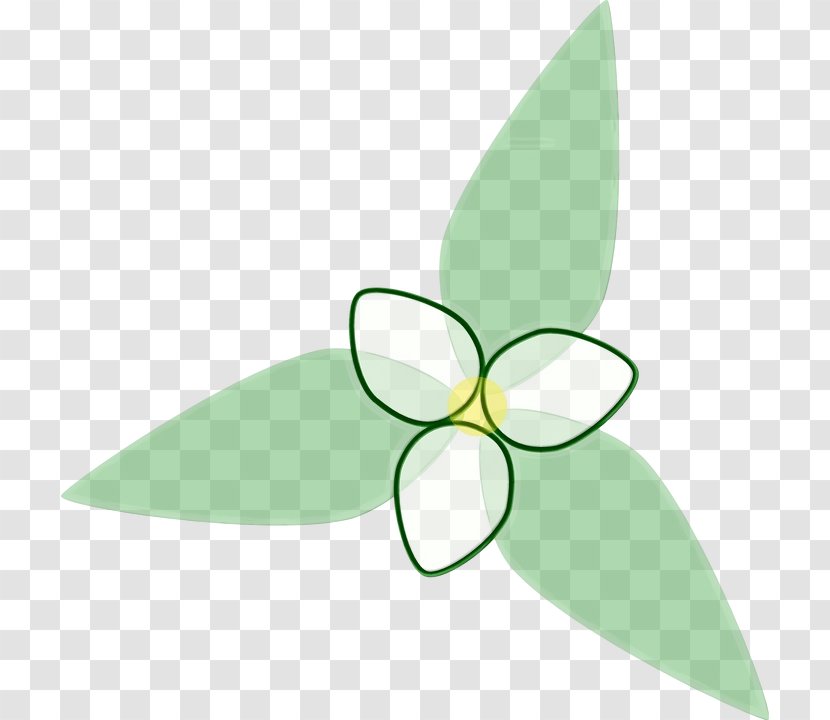 Green Leaf Watercolor - Petal - Flower Logo Transparent PNG