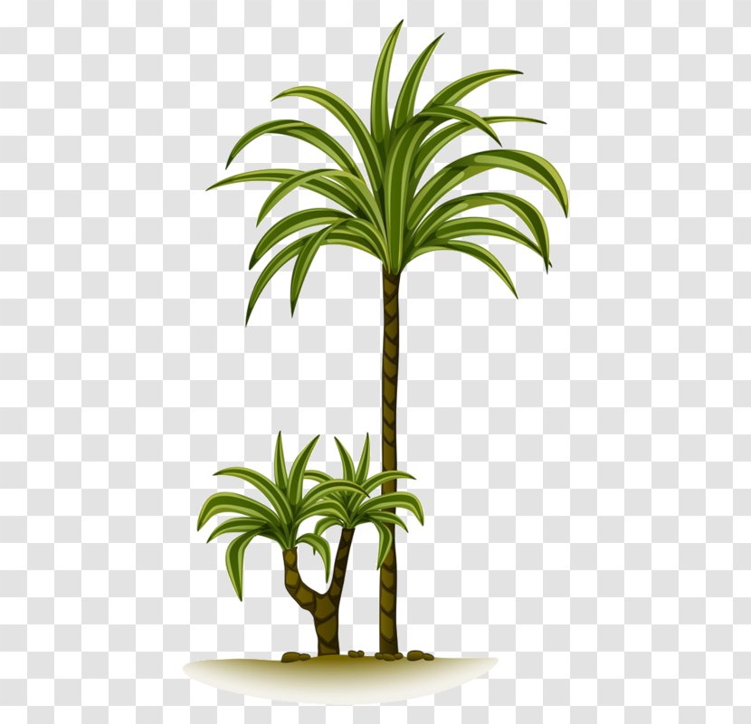 Clip Art Vector Graphics Palm Trees Gallery Of Illustration - Arecales - Leaf Transparent PNG
