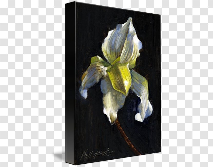 Still Life Oil Painting Giclée Art - Fine - White Orchid Transparent PNG
