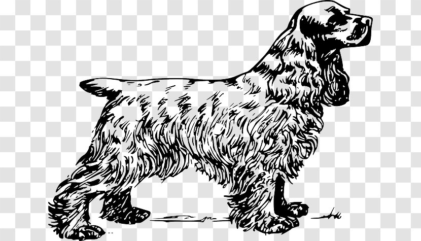 English Cocker Spaniel Clumber Clip Art - Sporting Group - Puppy Transparent PNG