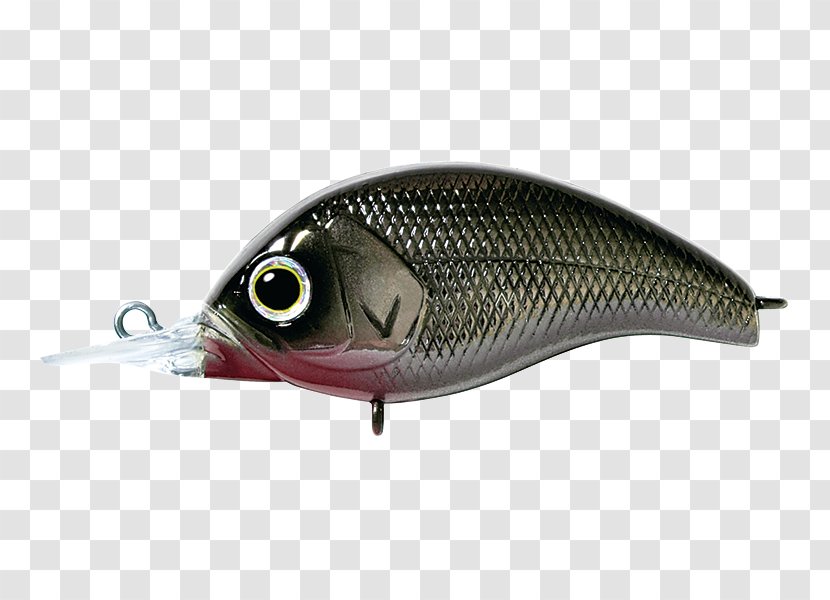 Spoon Lure Oily Fish Perch AC Power Plugs And Sockets Transparent PNG