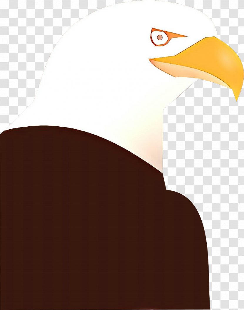 Sea Bird - Eagle - Piciformes Vulture Transparent PNG