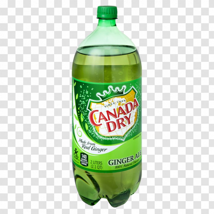 Lemon-lime Drink Ginger Ale Fizzy Drinks Canada Dry - Bottle - Slices Transparent PNG