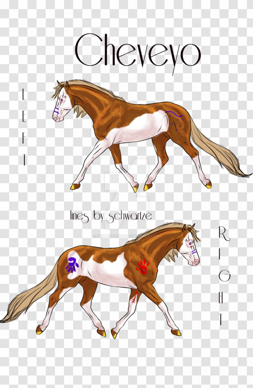 Mustang Foal Stallion Colt Halter - Vertebrate Transparent PNG