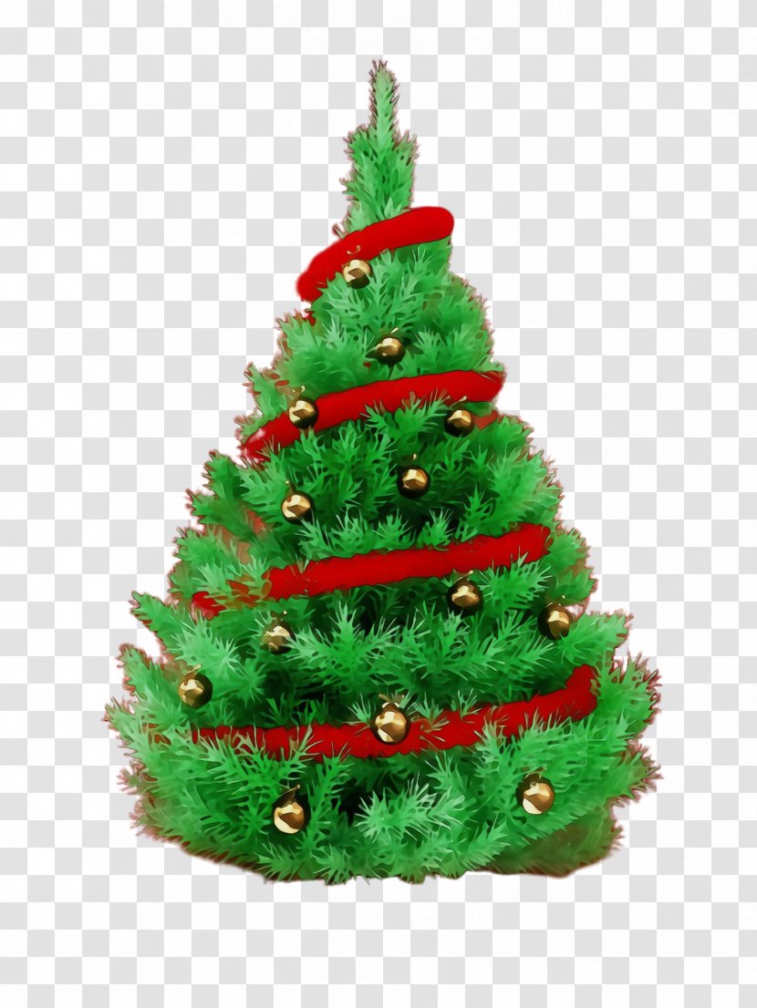 Christmas Tree - Pine Transparent PNG