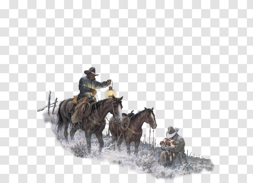 Horse Cowboy American Frontier - Cartoon - Western Transparent PNG