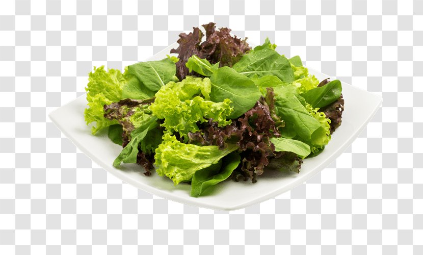 Romaine Lettuce Caesar Salad Vegetarian Cuisine Bauru - Food - Bife Transparent PNG